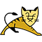 Tomcat